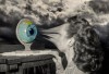 Franz_Falckenhaus_oeil_planete.jpg