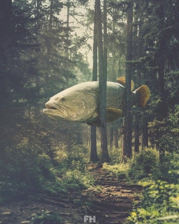 Fulton Hobbs le poisson coincé dans les arbres.jpg