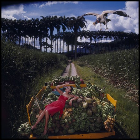 Gian_Paolo_Barbieri_fruits_oiseaux_bienvenue_bonjour_anniversaire.jpg