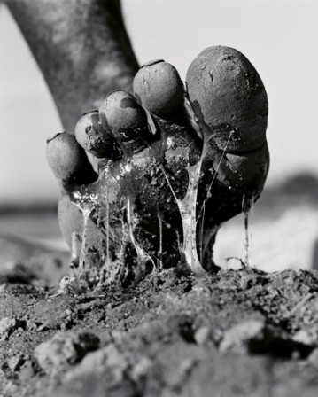 Gian_Paolo_Barbieri_pied_Madagascar_019_bonjour.jpg