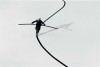 Gilbert_Garcin_funambule.jpg