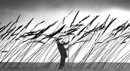 Gilbert_Garcin_sauver_la_nature_couverture.jpg