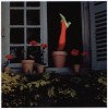 Guy_Bourdin_une_femme_a_la_fenetre.jpg