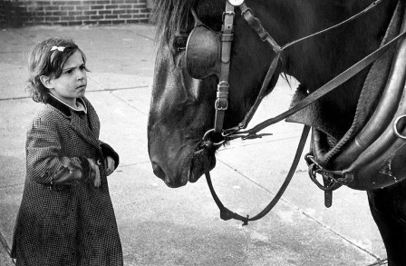 Harold_Feinstein_cheval_enfant_pauvre_bonjour.jpg