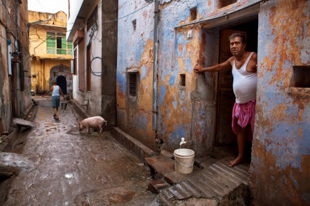 Hesham Alhumaid rue de la truie qui file Jaipur India.jpg