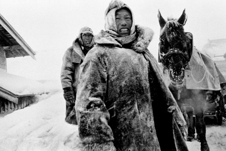 Hiroshi_Hamaya_Japon_hiver_1955_froid_cheval.jpg