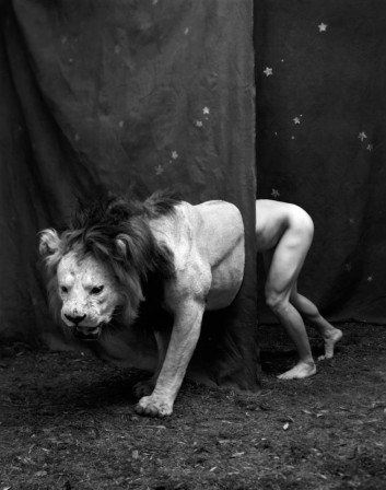 Hugh_Kretschmer_homme_lion_bonjour.jpg