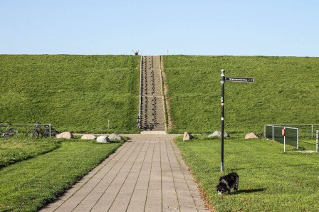 Ion Kalin le chien et son maître Amsterdam.jpg