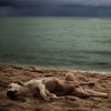 Jacek_Falmur_chien_plage.jpg