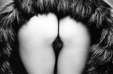 Jeanloup_Sieff_la_femme_a_la_fourrure.jpg