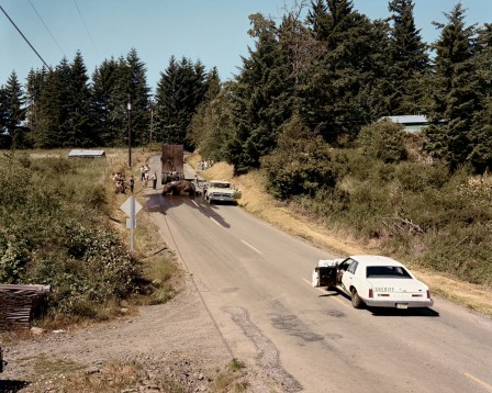 Joel_Sternfeld_l_elephant_tombe_du_camion.jpg