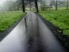 Josef_Fefe_Skaroupka_canards_piste_cyclable.jpg