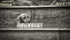 Joshua_Reuveni_ONU_chien.jpg