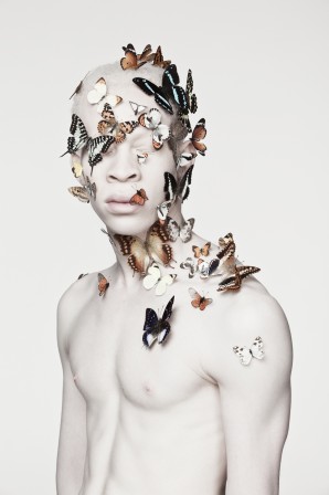 Justin_Dingwall_homme_albinos_papillon_bonjour.jpg