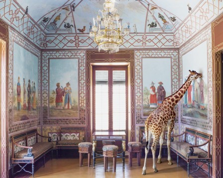 Karen Knorr girafe 1 2 3 soleil.jpg