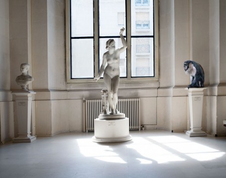 Karen_Knorr_singe_statue_femme_bonjour_art.jpg