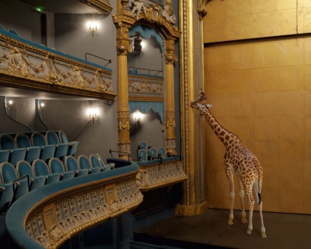 Karen_Knorr_theatre.jpg