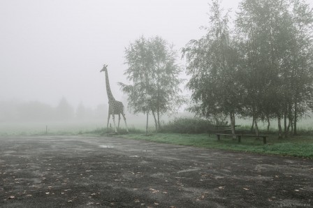 Karol Szymkowiak aire de pique nique dans la brume.jpg