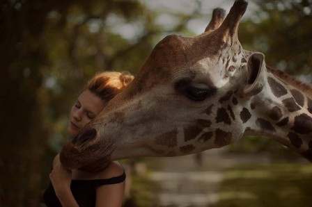 Katerina_Plotnikova_girafe_affection.jpg
