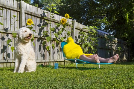 Kristin_Skees_chien_ma_maitresse_est_un_rayon_de_soleil.jpg