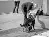 Krunoslav_Ve_enaj_chien_sexe.jpg