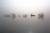 Kun_Hyo_Lee_matin_calme_2.jpg