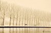 Lars_van_de_Goor_bonjour_don_quichotte.jpg