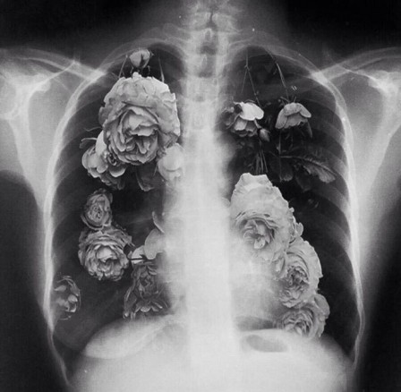 Laura Makabresku des fleurs dans les poumons l'écume des jours.jpg