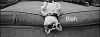 Lily_Pyrus_chien_couverture.png