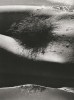 Lucien_Clergue_pubis_poil_epilation_algue.jpg