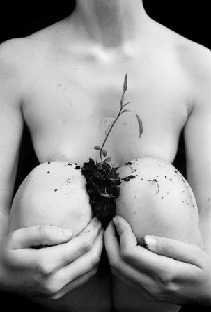 Marcel Pommer le petit jardin.jpg