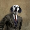 Martine_Roch_chien_philosophe.jpg
