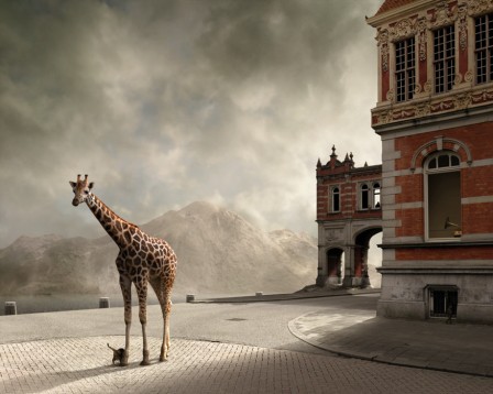 Mattijn_Franssen_la_girafe_du_chateau.jpg