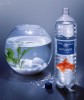 Mauro_Risch_poisson_le_reve_des_grands_espaces.jpg