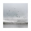 Mehran Naghshbandi Debussy la mer.jpg
