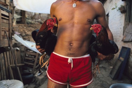 Miguel Rio Branco Rooster Fight 1979 combat de coq.jpg