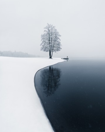 Mikko Lagerstedt le Yin et le Yang.jpg