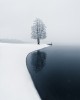 Mikko Lagerstedt le Yin et le Yang.jpg