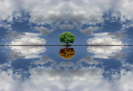Milad_Safabakhsh_l_arbre_dans_le_ciel.jpg