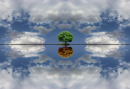 Milad_Safabakhsh_l_arbre_dans_le_ciel.jpg