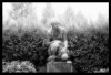 Mostafa Habibi la jeune femme du jardin.jpg