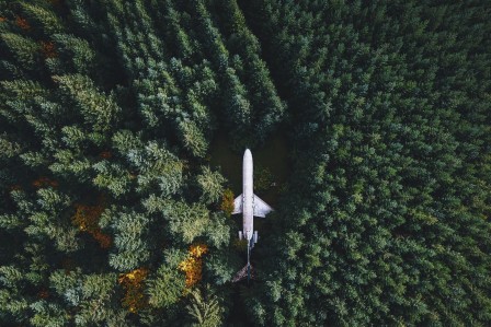 Nick_Verbelchuk_l_avion_dans_la_foret.jpg