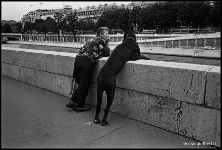 Nicolas_Guilbert__chien_paris_quai_seine.jpg