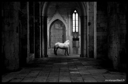 Nicolas_Guilbert_dimache_cheval_eglise.jpg