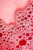 Nydia_Lilian_Cavazos_planete_fraise_2.jpg