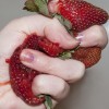 Olivia_Locher_fraise_poignee_de_main_erotisme.jpg