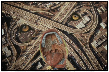 Pascal Verzijl le point circulation.jpg