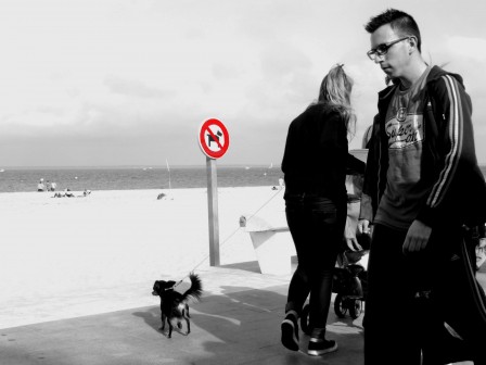 Pat_Laho_chien_plage_interdite.jpg