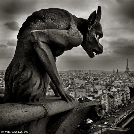 Patrice_Carre_dragon_Notre_Dame_Paris.jpg