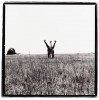 Patrick_Demarchelier_bouquet_de_girafes_bienvenue.jpg
